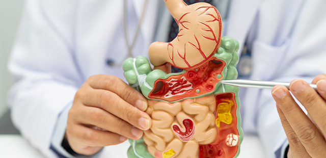 「肝臓、胆のう・胆管、膵臓」へ専門的な診療を実施