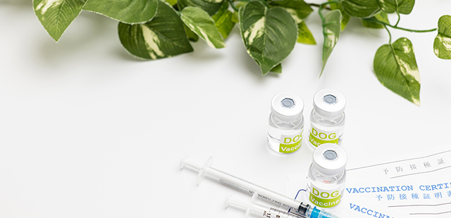 各種健康診断・健診に対応