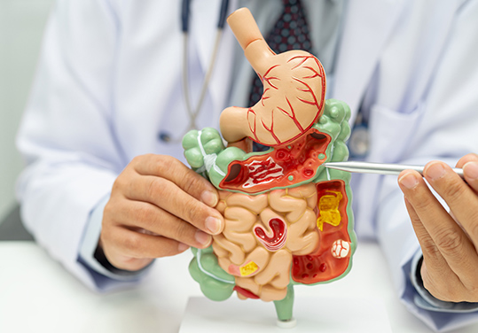 「肝臓、胆のう・胆管、膵臓」へ専門的な診療を実施