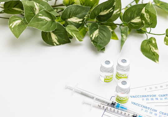 各種健康診断・健診に対応